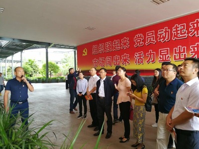 打好三张红色牌，提升网络文化经营核心竞争力